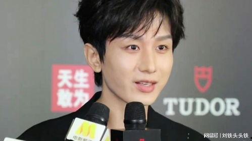 成毅爆料录音是真的吗视频,视频证据揭示真相  第2张